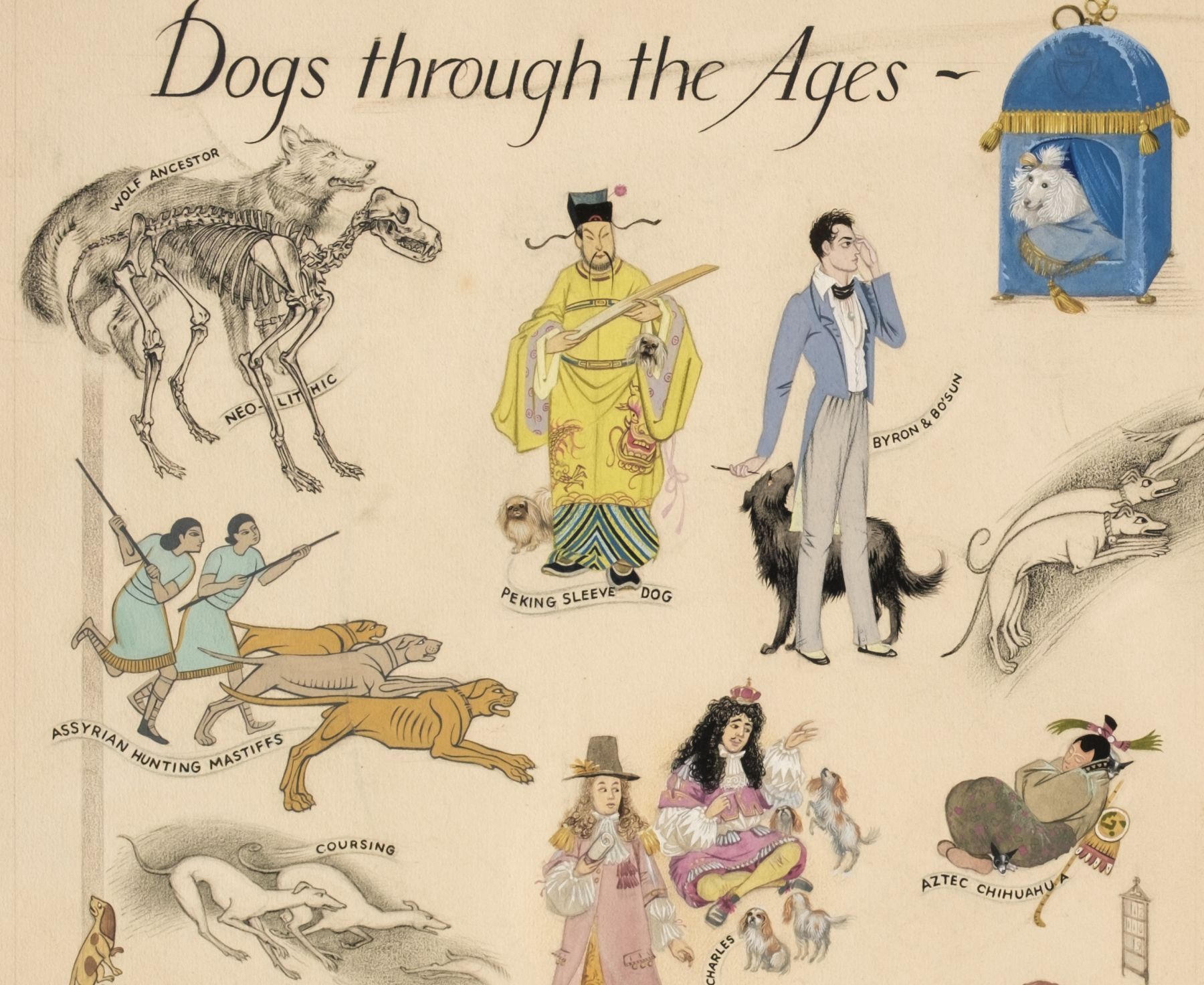 Dogs Through the Ages
